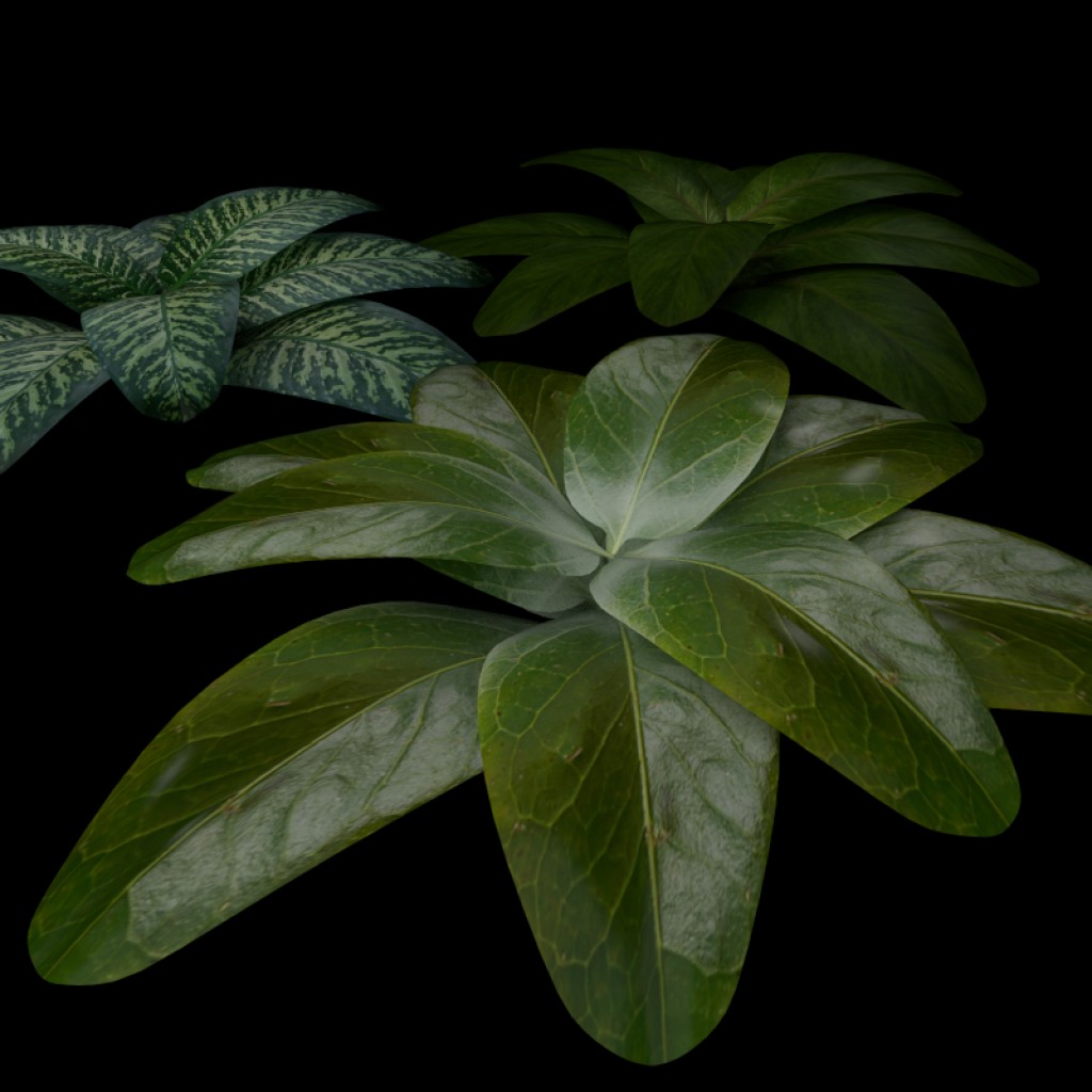 Leaves preview image 1